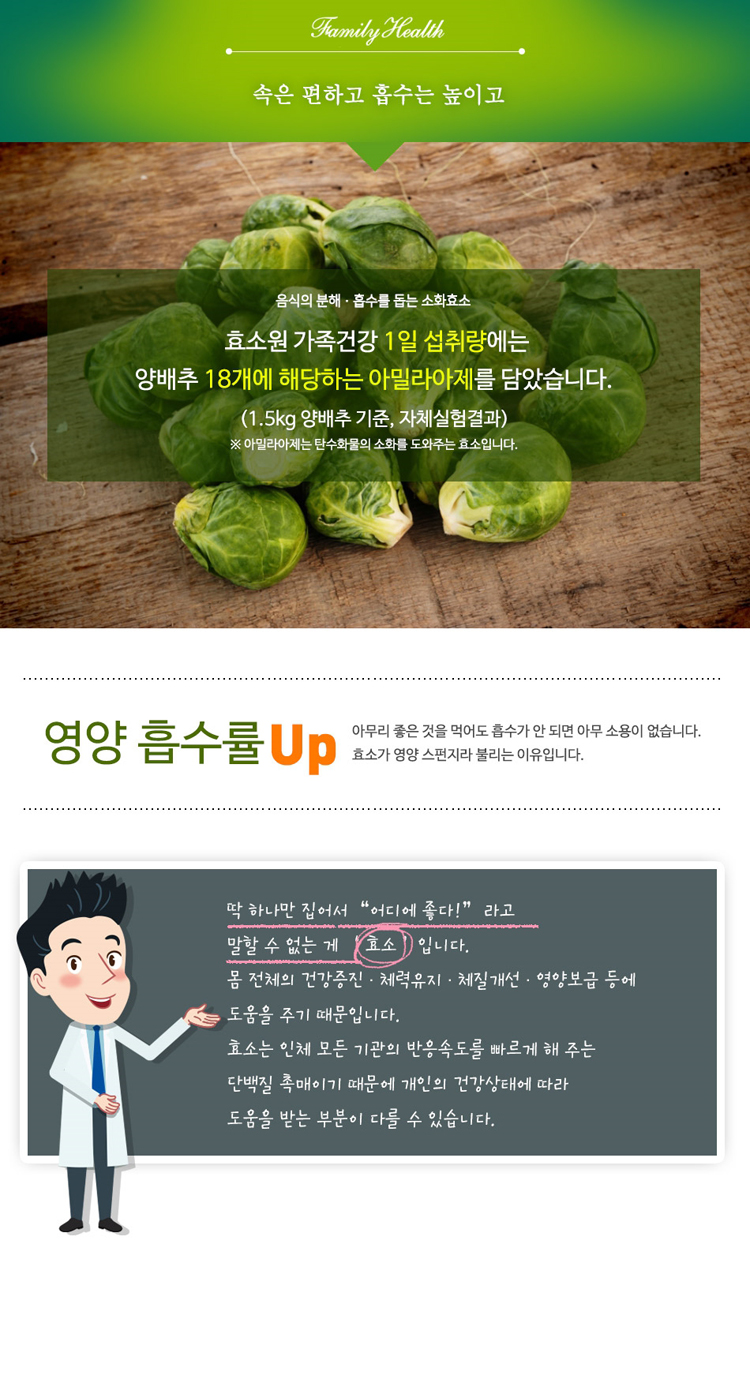 효소,건강식품,효소식품,발효식품,발효음식,다이어트,식이섬유