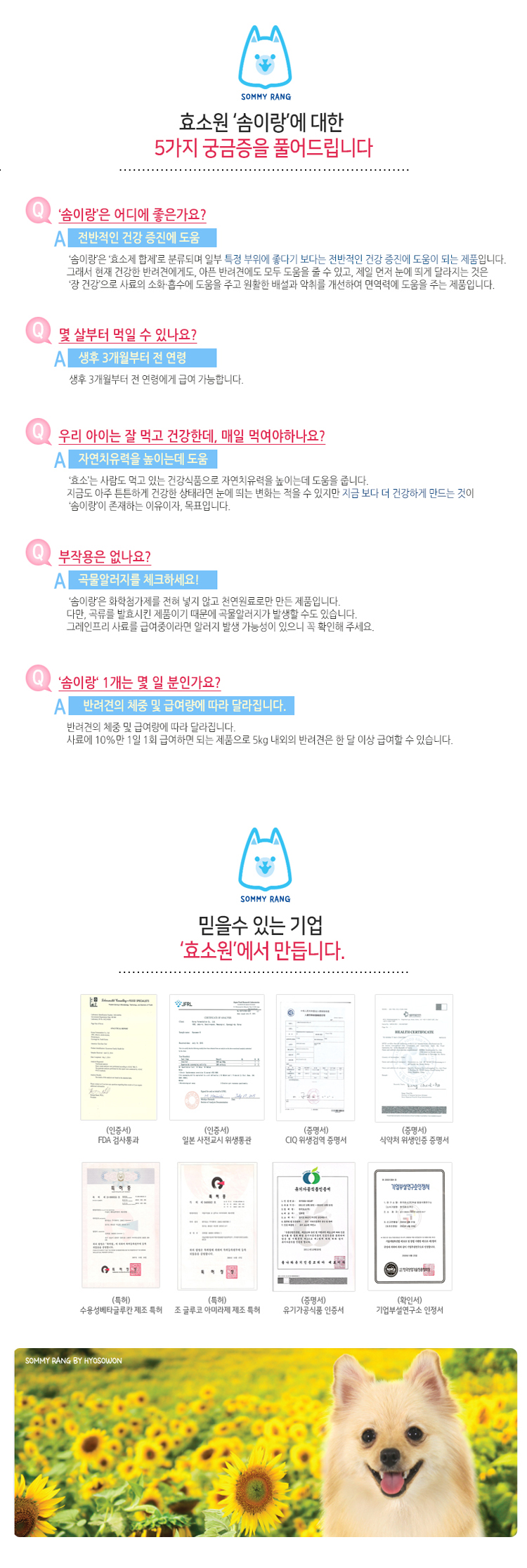반려동물효소,반려동물건강식품,반려동물식품,강아지영양식품,강아지장건강