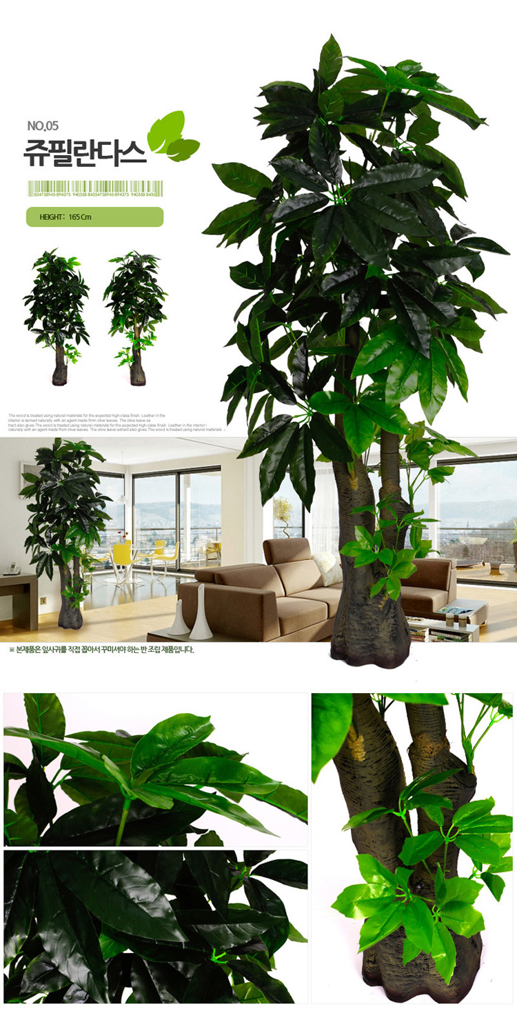  조화나무사철나무DIY조경나무실내조경