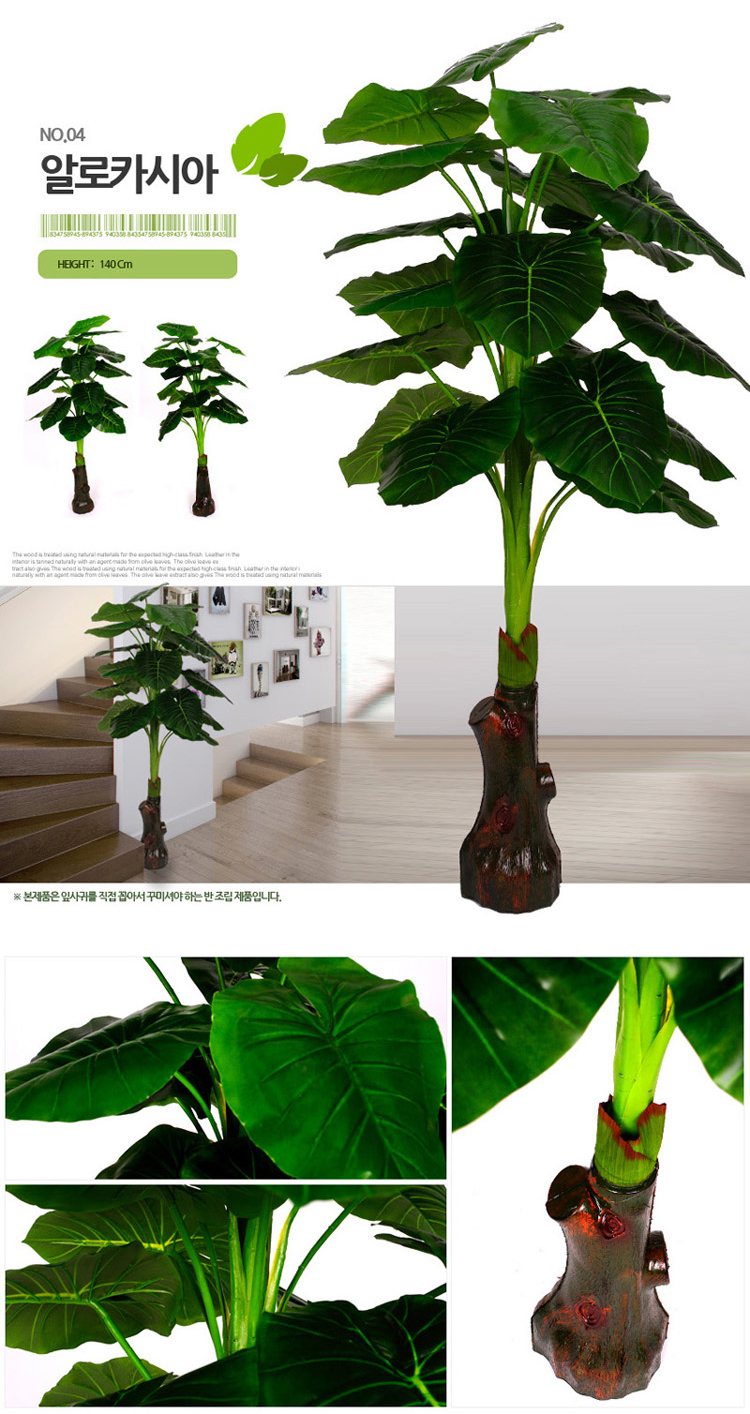  조화나무사철나무DIY조경나무실내조경