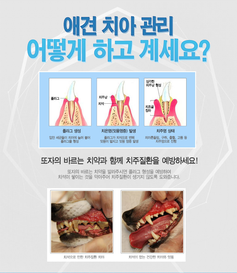 애견치약,애완동물용품,애완용품,바르는치약,또자,반려동물,애견잇몸