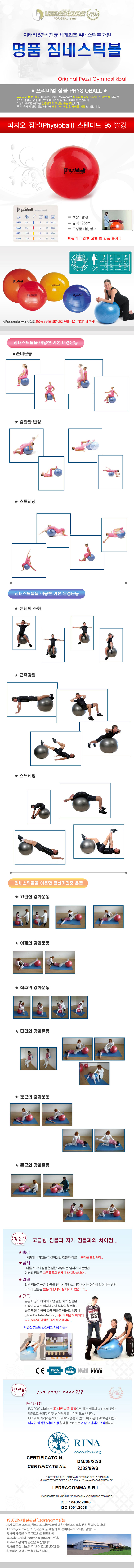 짐볼볼운동기구헬스다이어트