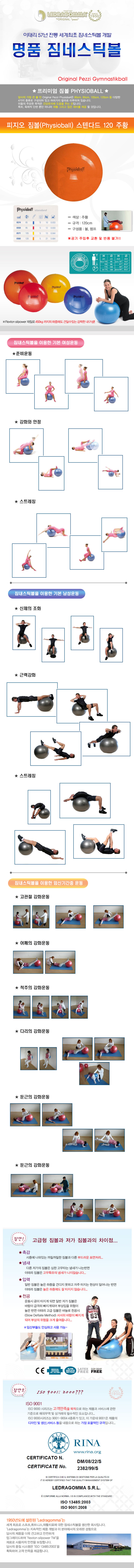 짐볼볼운동기구헬스다이어트