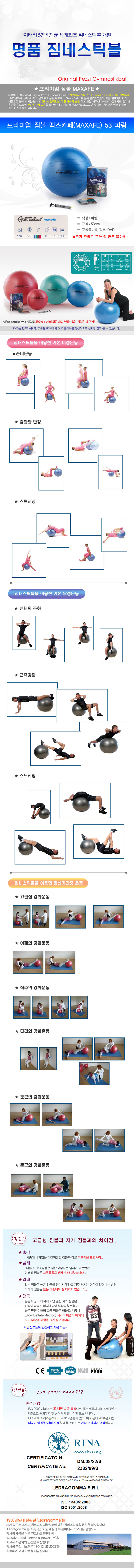 짐볼볼운동기구헬스다이어트