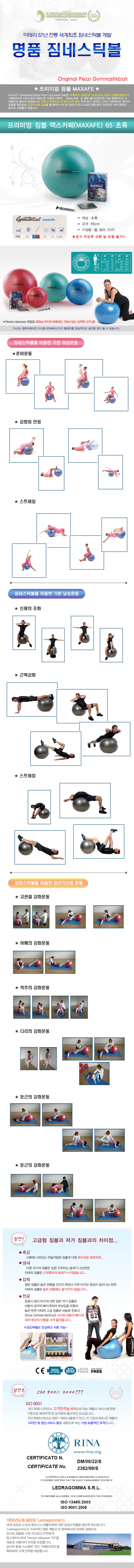 짐볼볼운동기구헬스다이어트