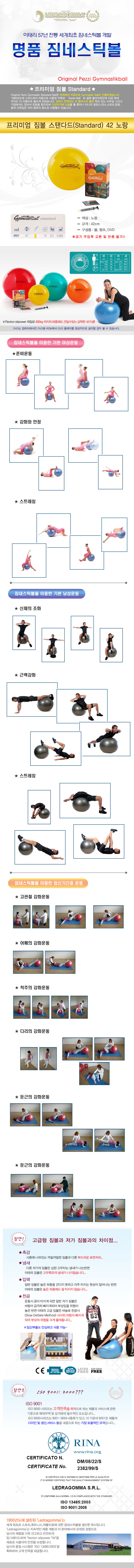 짐볼볼운동기구헬스다이어트