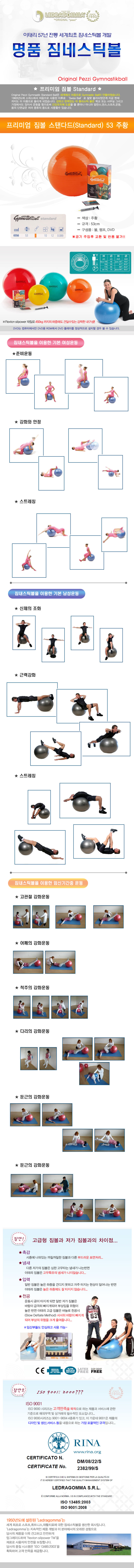 짐볼볼운동기구헬스다이어트