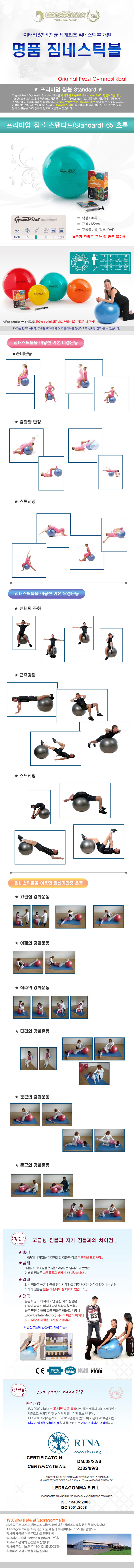 짐볼볼운동기구헬스다이어트