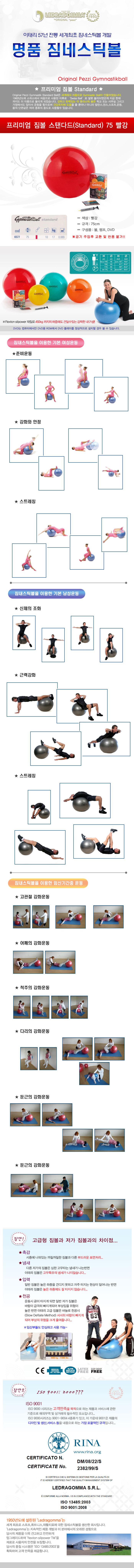 짐볼볼운동기구헬스다이어트