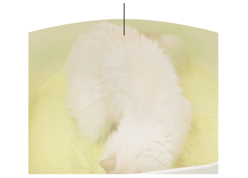 아로펫,고양이모래,고양이화장실,고양이배변활동,대소변용모래,고양이,묘사,위생용품,애견용품