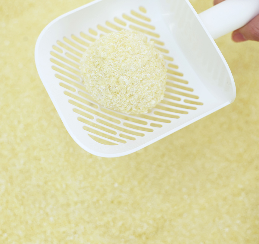 아로펫,고양이모래,고양이화장실,고양이배변활동,대소변용모래,고양이,묘사,위생용품,애견용품