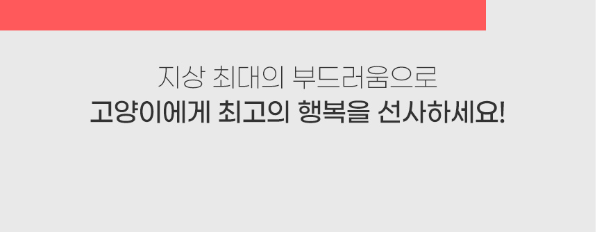아로펫,고양이모래,고양이화장실,고양이배변활동,대소변용모래,고양이,묘사,위생용품,애견용품