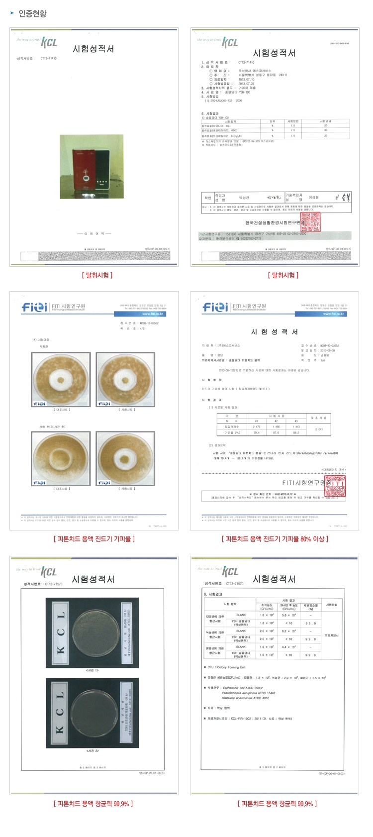 피톤치드.산림욕기,산림욕,편백치드,힐링