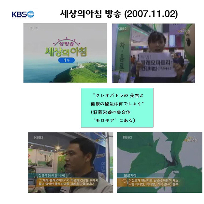 のり,海苔,モロキアのり,特許商品 