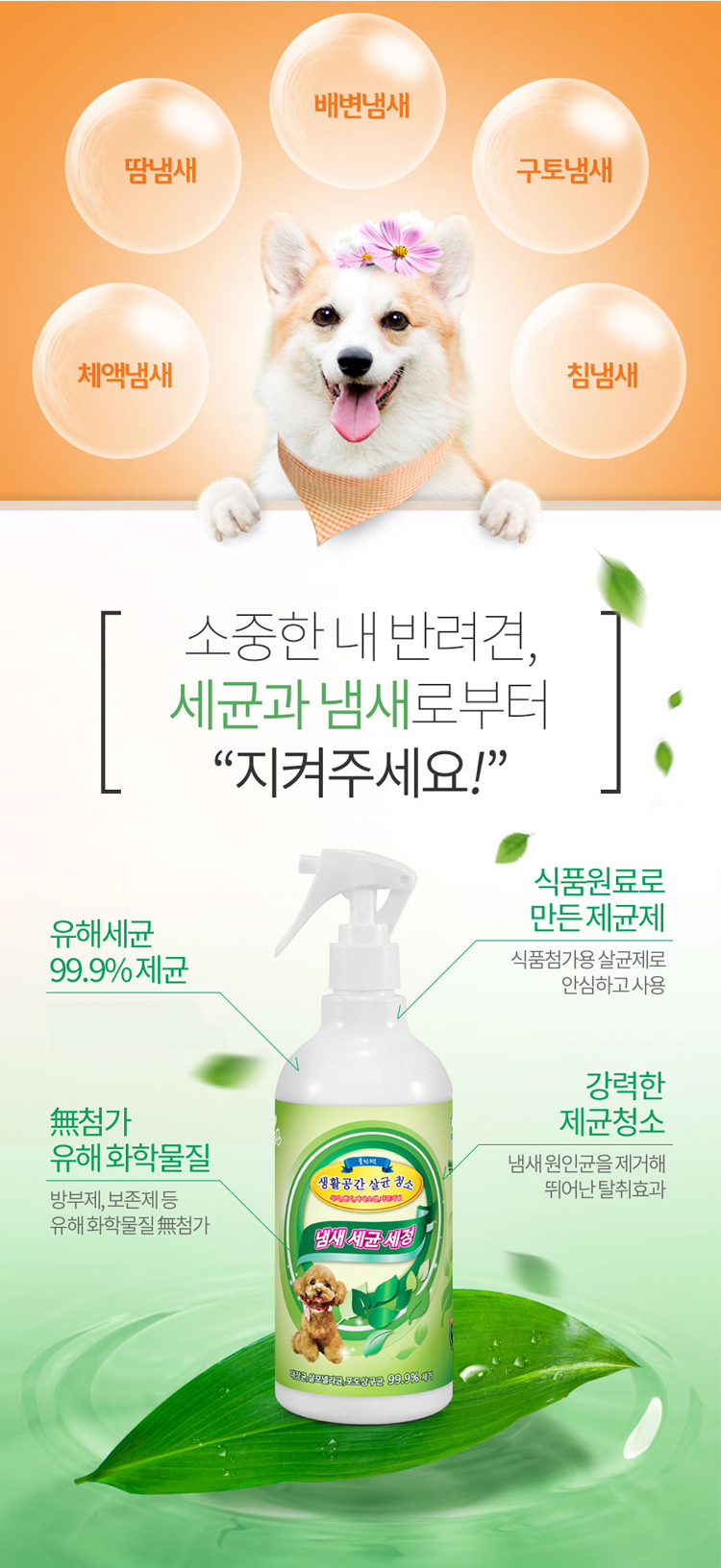 애완용품세정제,애완용품소독,반려동물청소,반려견물티슈,반려묘물티슈,강아지용품,고양이용품,
