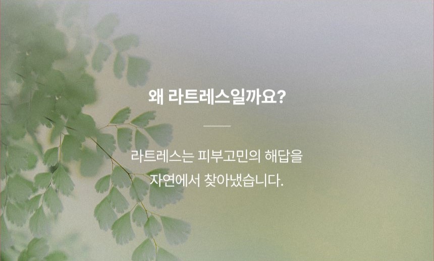 수분마스크팩,미백마스크팩,리더스마스크팩,탄력마스크팩,꽃마스크팩,라트레스,동백