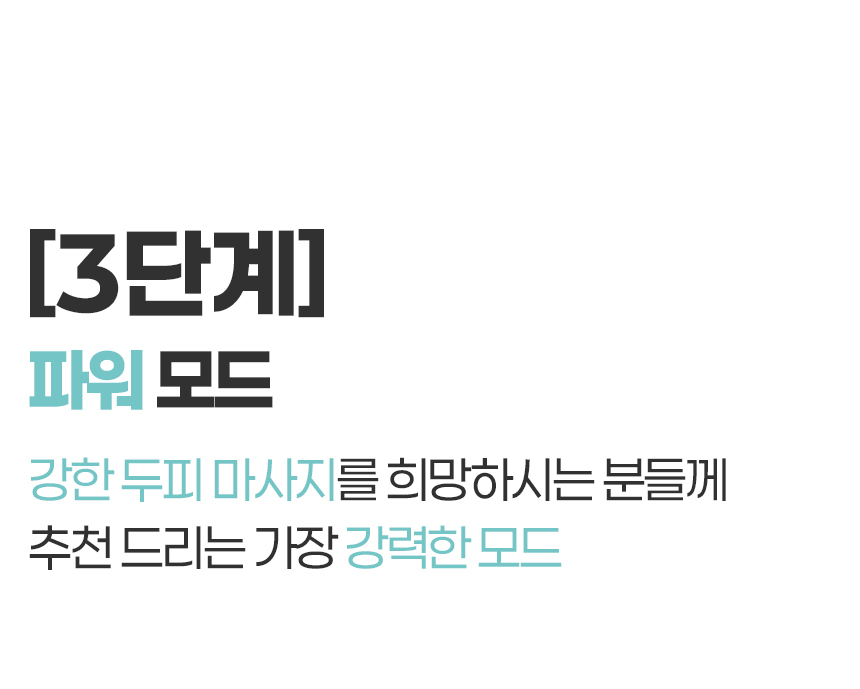 마사지기,두피관리,탈모,탈모방지,탈모관리,두피마사지빗,두피안마기