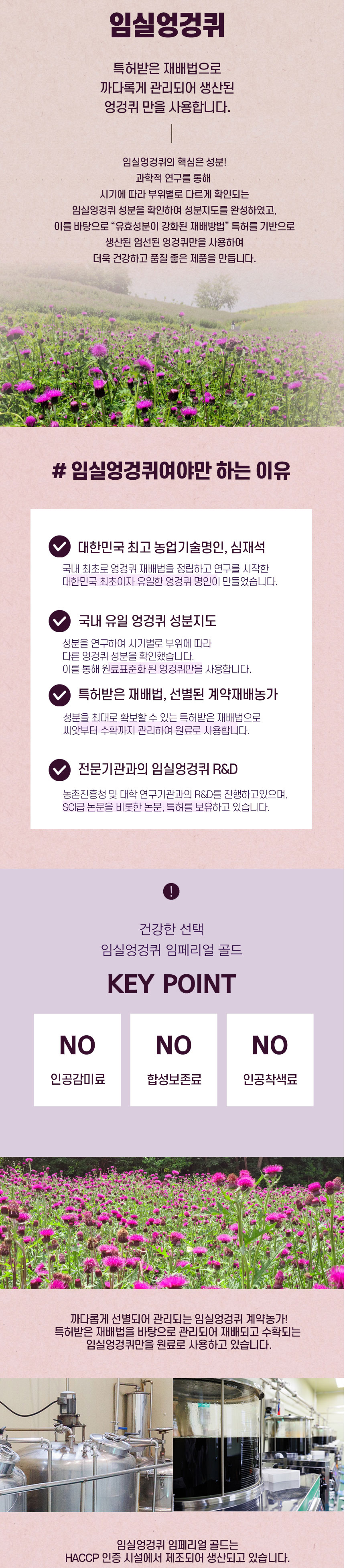 엉겅퀴,임실엉겅퀴,임페리얼골드,국산엉겅퀴,엉겅퀴추출액,국산엉겅퀴