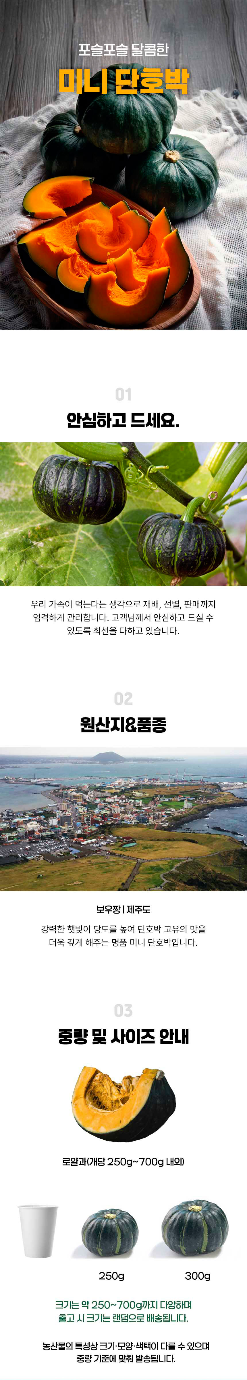 단호박,미니단호박,제주단호박,호박,보우짱단호박,미니밤호박