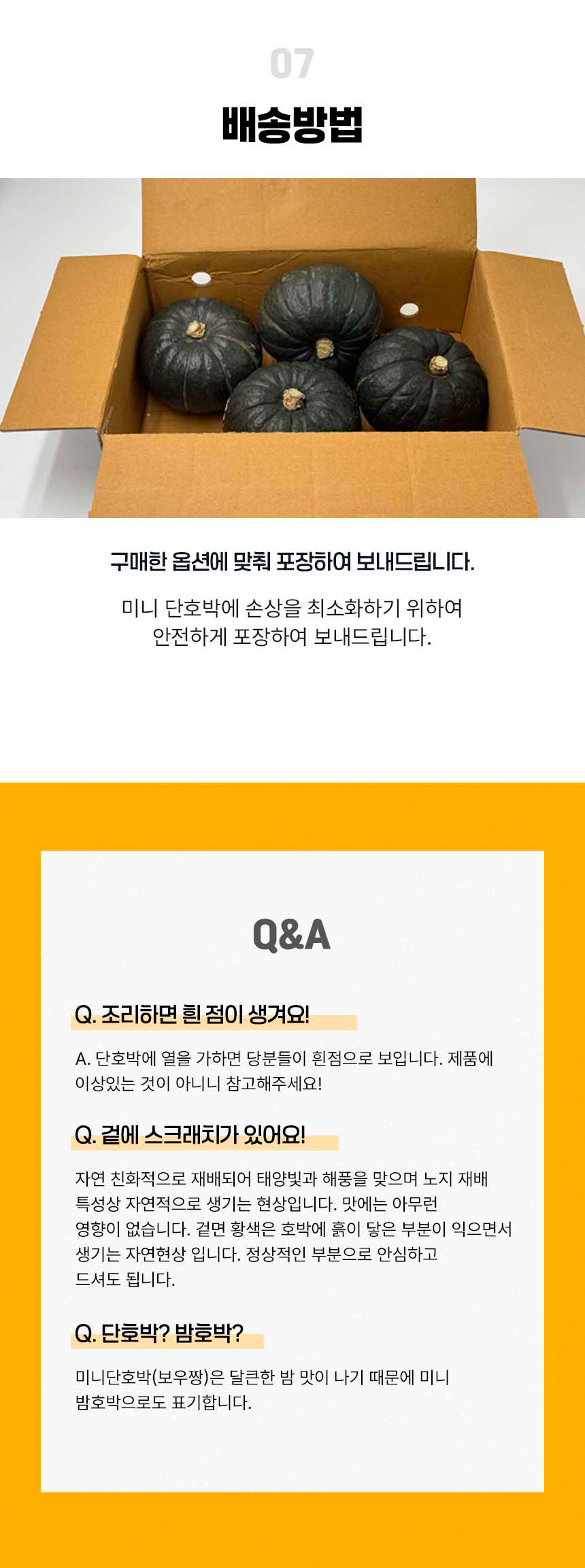 단호박,미니단호박,제주단호박,호박,보우짱단호박,미니밤호박