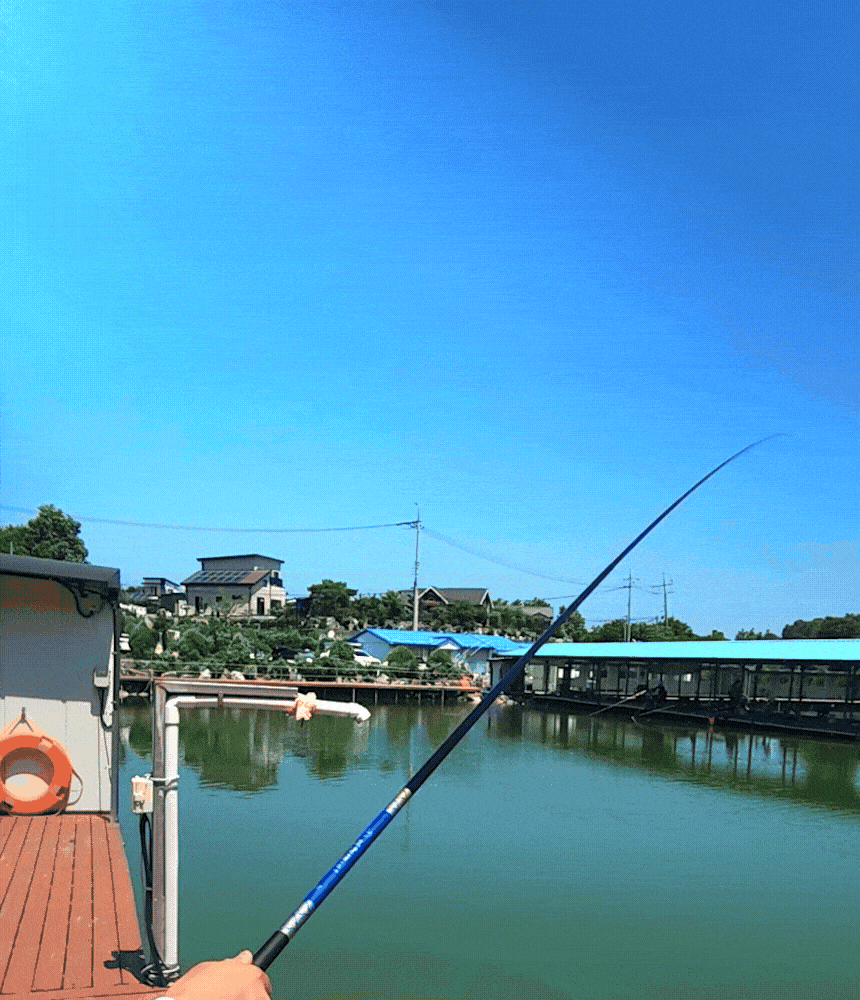 민물낚시,낚시대,로얄골드,라이즈낚시대,국산낚시대,민물낚시대,싸파낚시대,붕어낚시