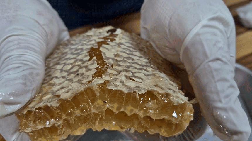 벌꿀집,벌집꿀,사양벌집꿀,토종꿀,자연벌꿀,명품꿀,꿀선물세트,명절답례품,명절선물,천연벌꿀,속성꿀