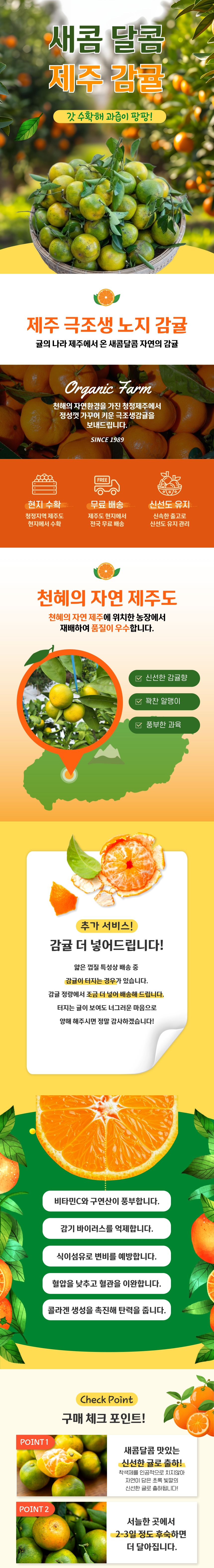 제주감귤,극조생귤,극조생감귤,노지감귤,제철감귤,감귤,귤