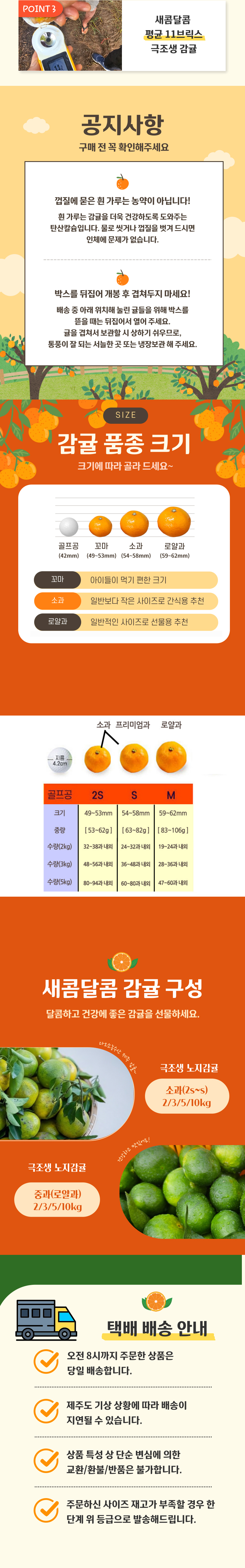 제주감귤,극조생귤,극조생감귤,노지감귤,제철감귤,감귤,귤