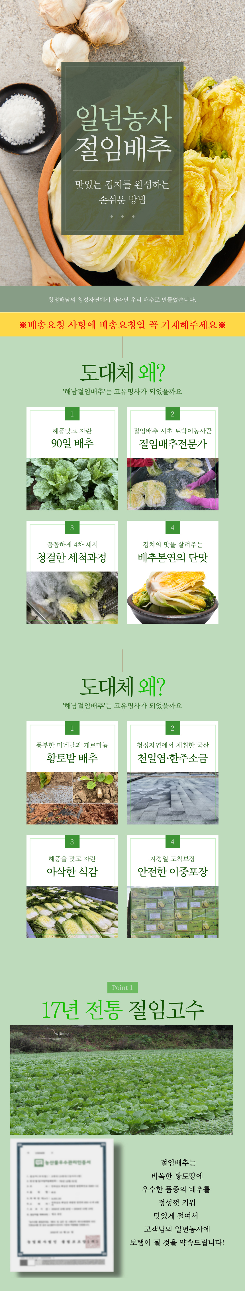 배추,해남배추,절임배추,황금배추,황금절임배추,김장배추,김장,김장키트