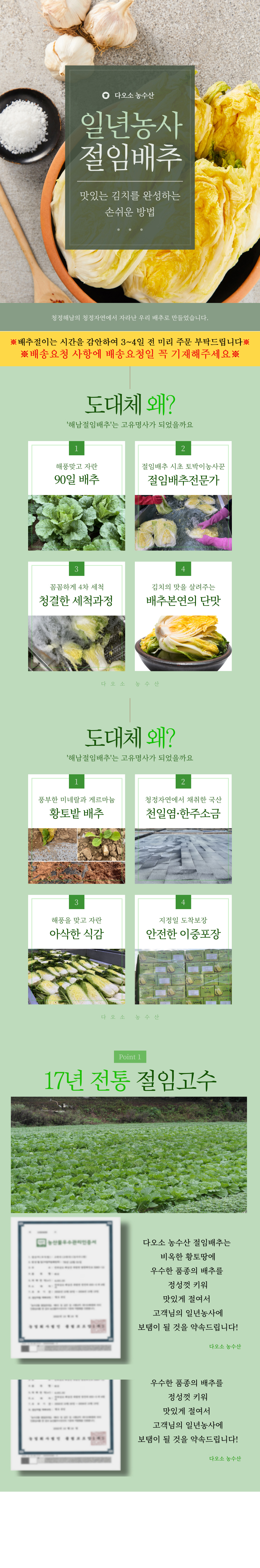 배추,해남배추,절임배추,황금배추,황금절임배추,김장배추,김장,김장키트