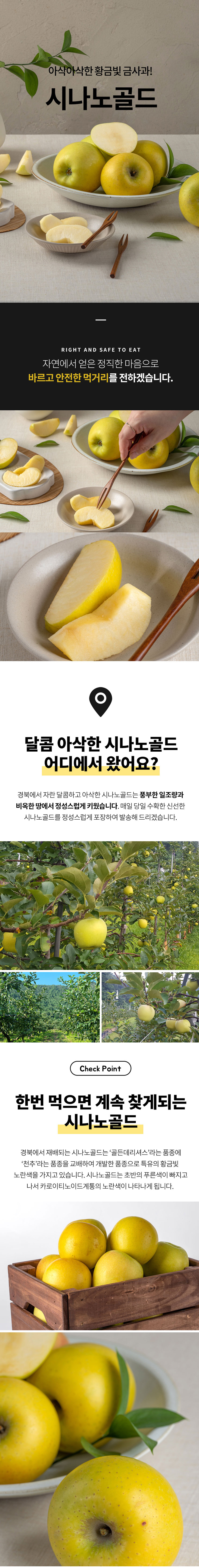 사과,황금빛사과,시나노골드,시나노,시나노사과,가정용사과,사과선물,정품사과,꿀사과,제철사과