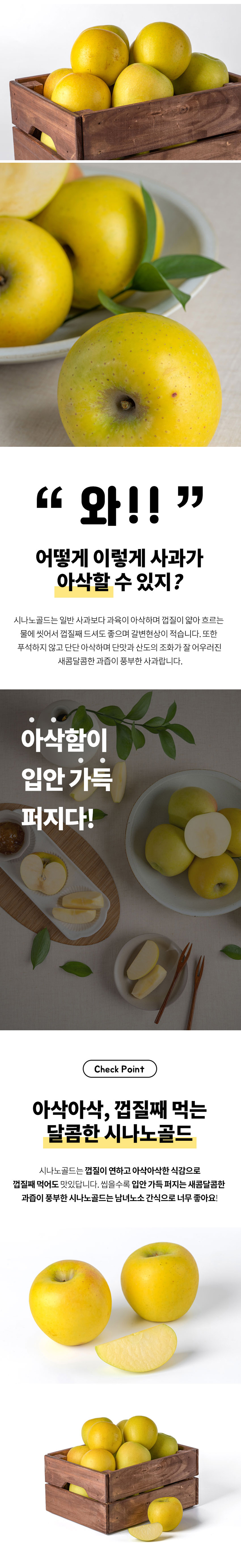 사과,황금빛사과,시나노골드,시나노,시나노사과,가정용사과,사과선물,정품사과,꿀사과,제철사과