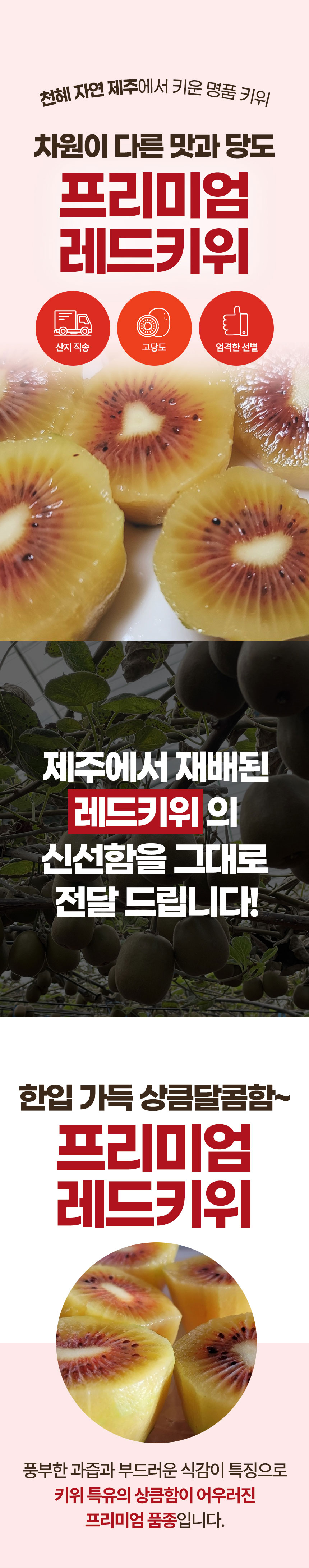 레드키위,제주키위,키위,키위에이드,제철과일,키위쥬스,후숙과일,제주도키위