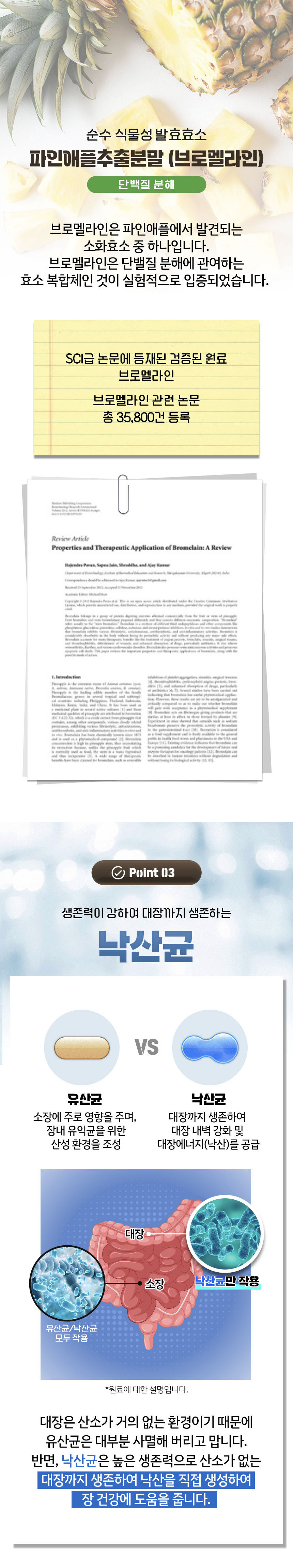 효소,효소분말,효소파우더,카무트,곡물효소,효소제품,발효효소,소화기능,브로멜라인효소