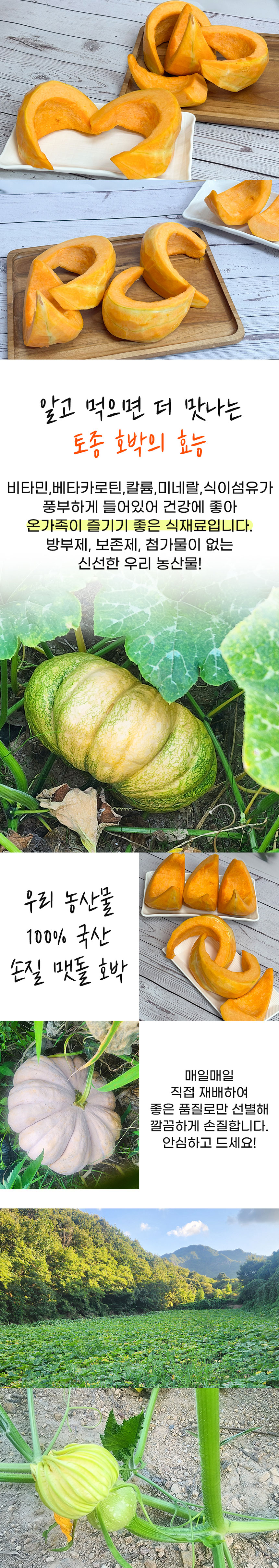 늙은호박,무주늙은호박,슬라이스채호박,호박,손질용늙은호박,늙은호박죽,맷돌호박,늙은호박요리