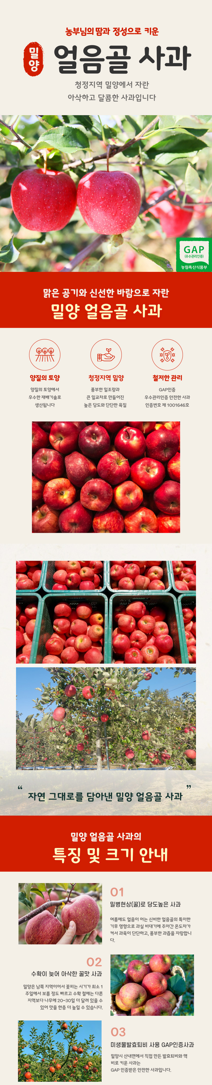 밀양사과,얼음골사과,부사사과,부사.사과,사과선물,정품사과,꿀사과,제철사과
