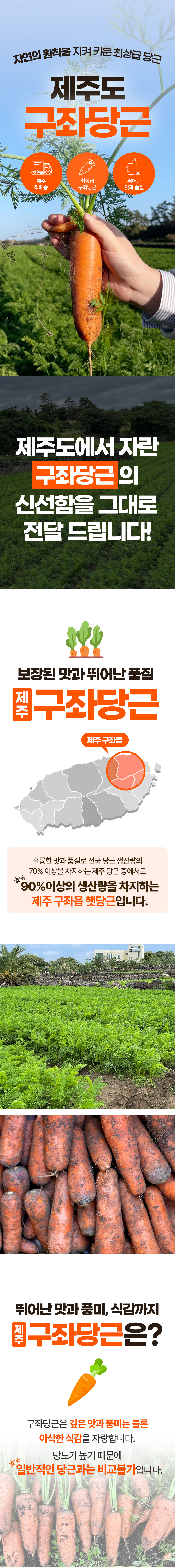 당근,제주당근,구좌당근,흙당근,햇당근,제철당근,국내산당근