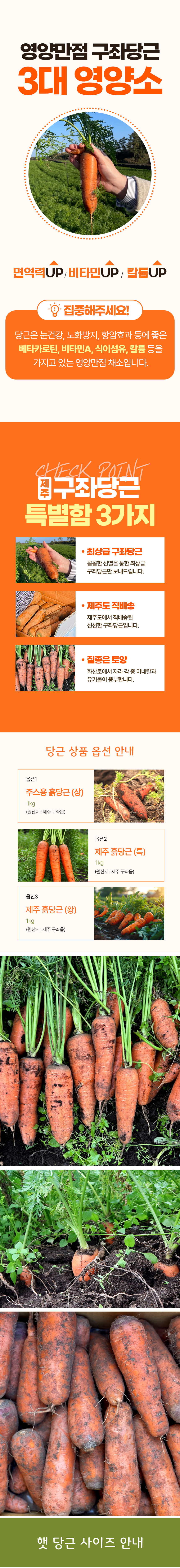 당근,제주당근,구좌당근,흙당근,햇당근,제철당근,국내산당근