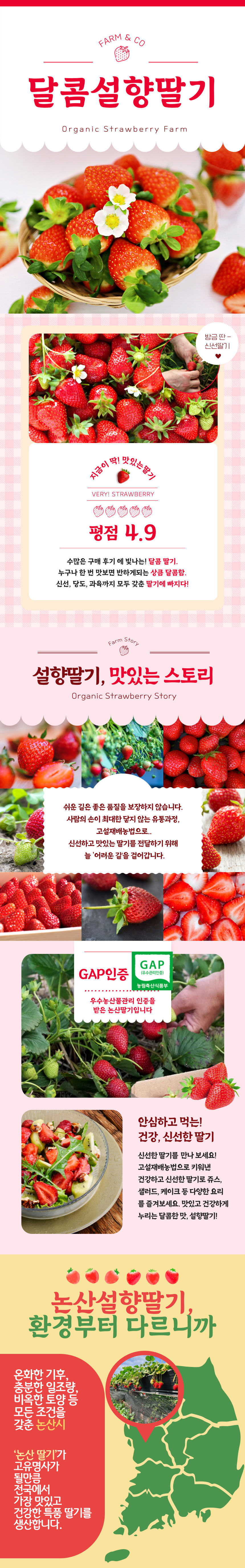 딸기,논산딸기,설향딸기,한입딸기,특과딸기,겨울딸기,제철딸기