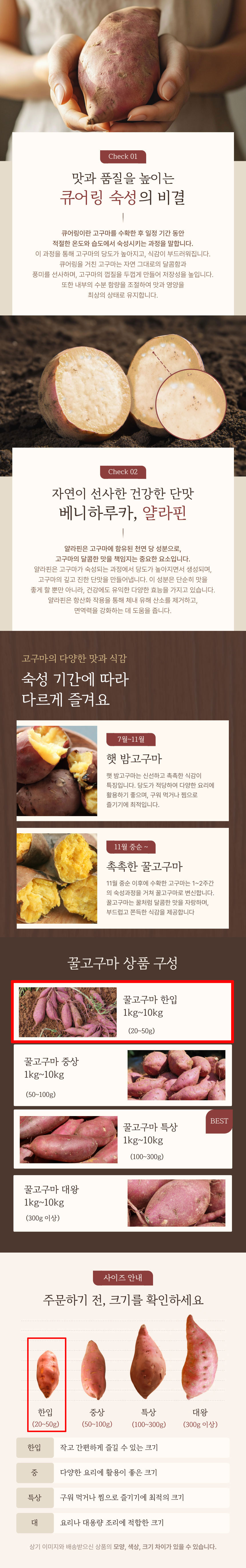 고구마,무농약고구마,고마꿀,꿀고구마,해남고구마,고마꿀고구마,해남황토고구마,얄라핀,국산고구마,뿌리채소
