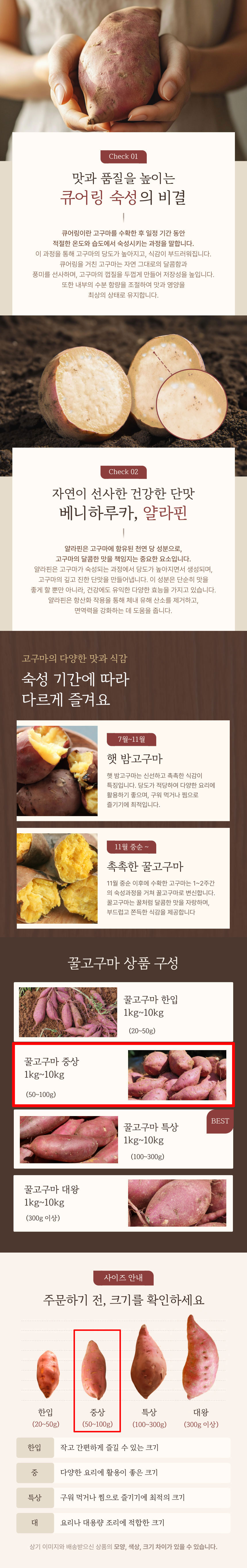 고구마,무농약고구마,고마꿀,꿀고구마,해남고구마,고마꿀고구마,해남황토고구마,얄라핀,국산고구마,뿌리채소