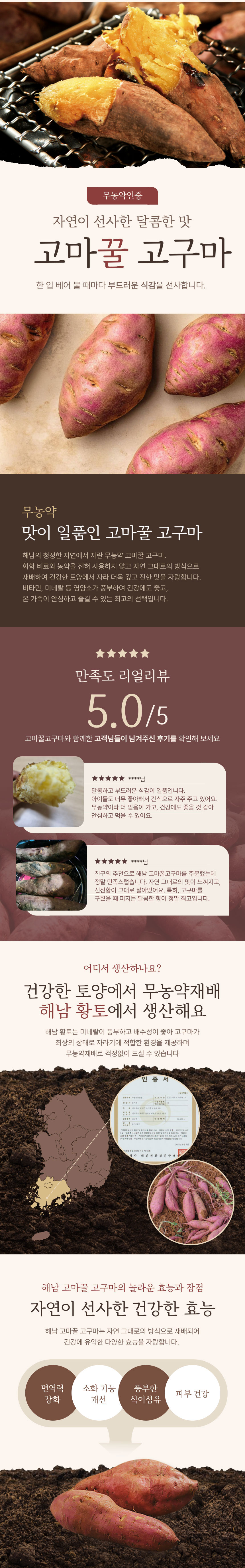 고구마,무농약고구마,고마꿀,꿀고구마,해남고구마,고마꿀고구마,해남황토고구마,얄라핀,국산고구마,뿌리채소