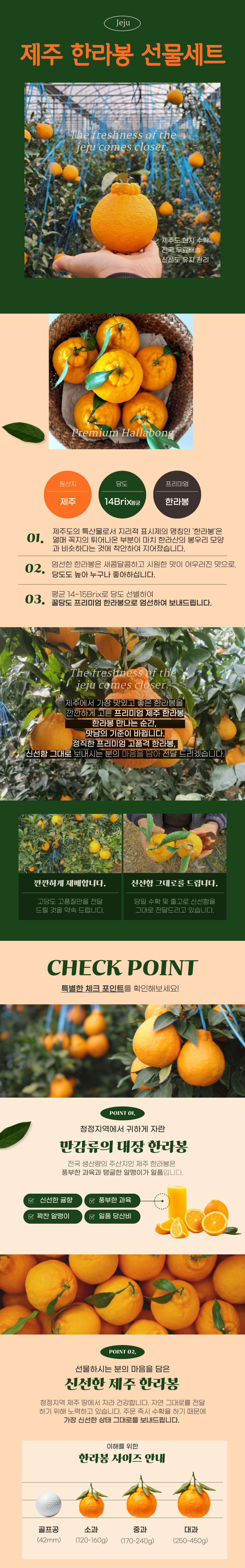 한라봉,새콤달콤,제주한라봉,한라봉선물,과즙팡팡,프리미엄한라봉,귤,과일,제주감귤,명절선물,선물세트