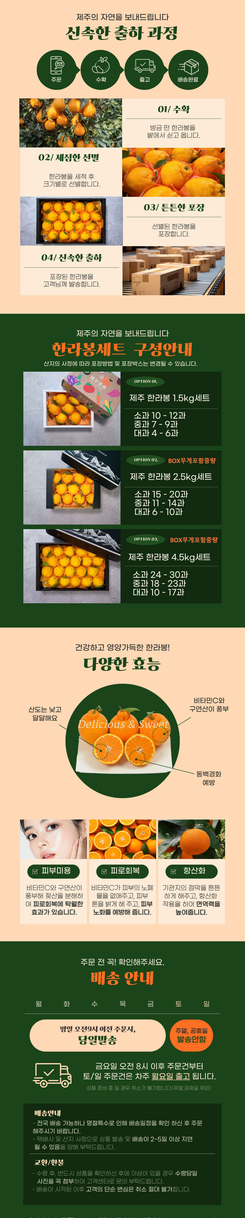 한라봉,새콤달콤,제주한라봉,한라봉선물,과즙팡팡,프리미엄한라봉,귤,과일,제주감귤,명절선물,선물세트