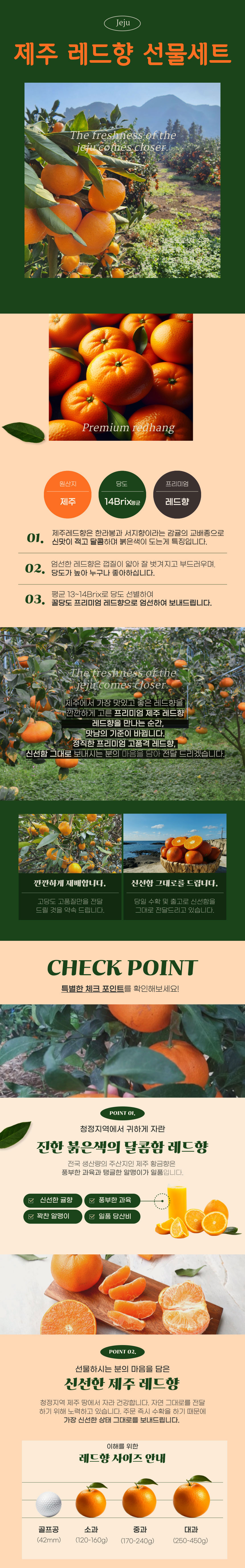 레드향,새콤달콤,제주레드향,레드향선물,과즙팡팡,프리미엄레드향,귤,과일,제주감귤,명절선물,선물세트