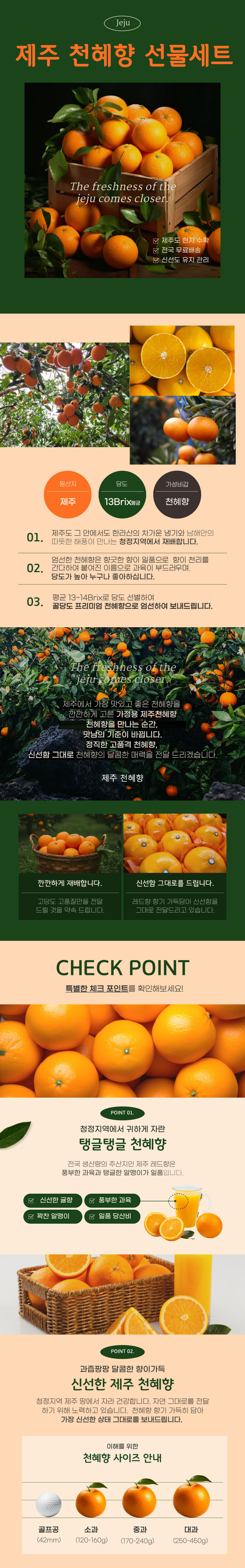 천혜향,새콤달콤,제주천혜향,천혜향선물,과즙팡팡,프리미엄천혜향,귤,과일,제주감귤,명절선물,선물세트