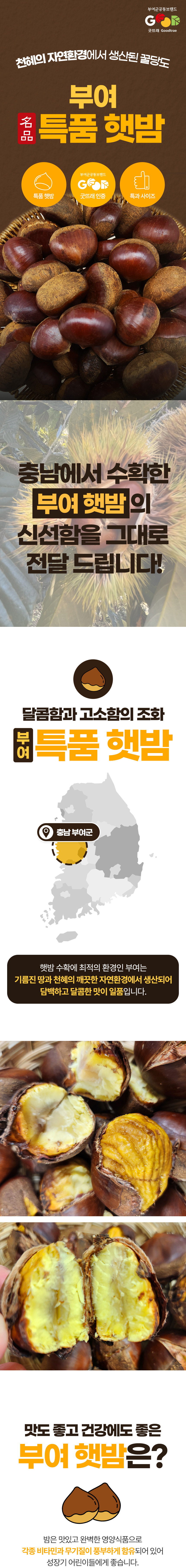 밤,햇밤,부여밤,부여햇밤,단밤,군밤,제사상밤,국산밤,깐밤,맛밤