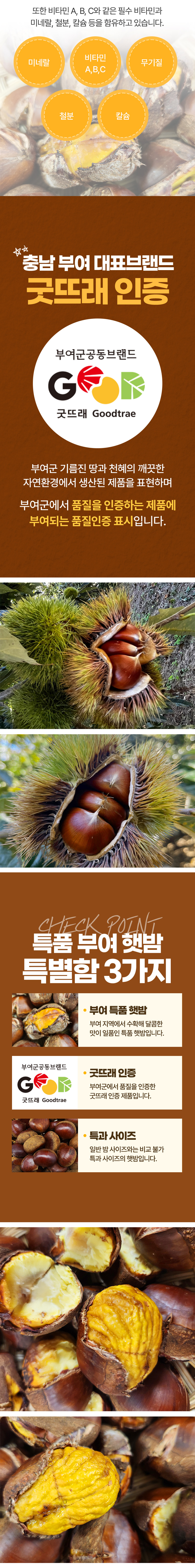 밤,햇밤,부여밤,부여햇밤,단밤,군밤,제사상밤,국산밤,깐밤,맛밤