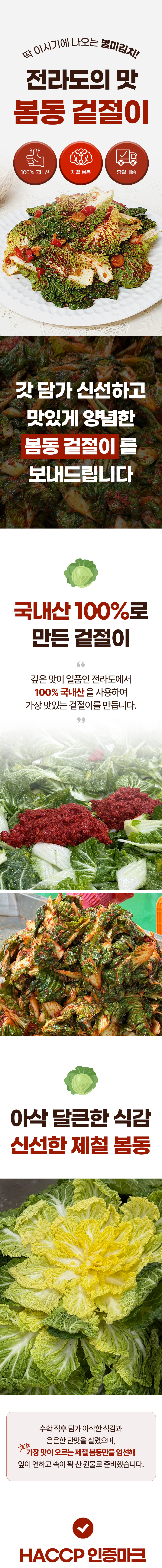 김치,배추김치,봄동,봄동김치,봄동겉절이,겉절이,겉절이김치,봉동배추,봄동겉절이김치,봄동비빔밥