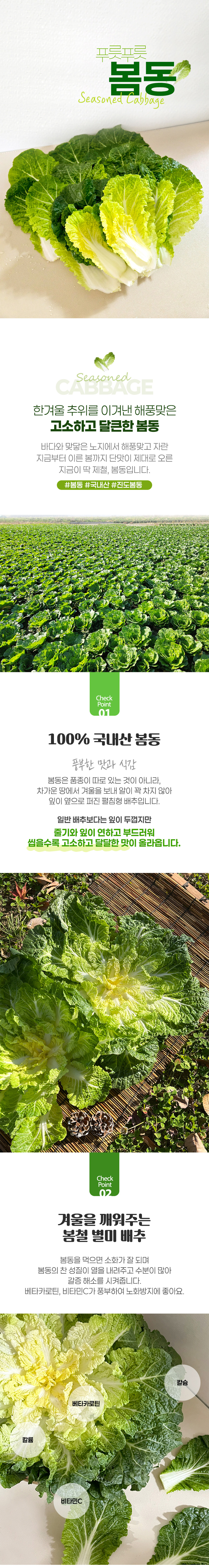 봄동,진도봄동,봄동김치,봄동겉절이,봄동비빔밥,봄동된장국,봄동무침